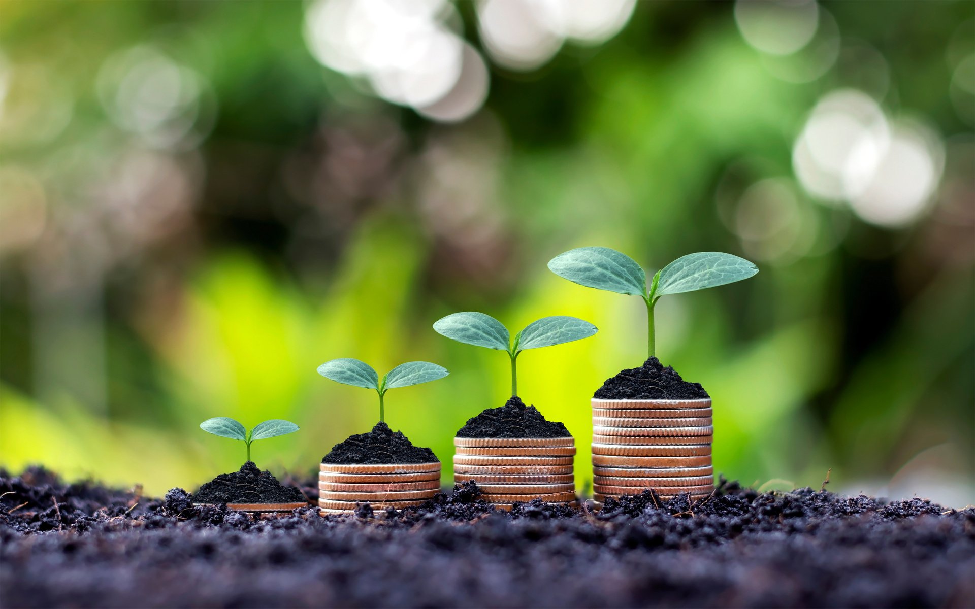 Coins and Plants Are Grown on a Pile of Coins 