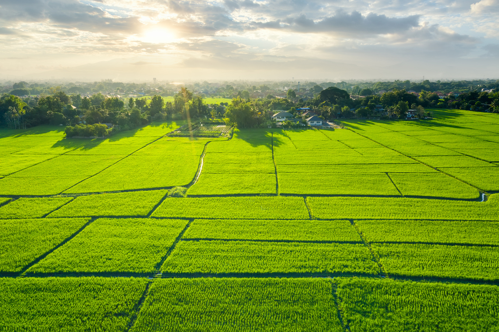 Aerial View of the Field