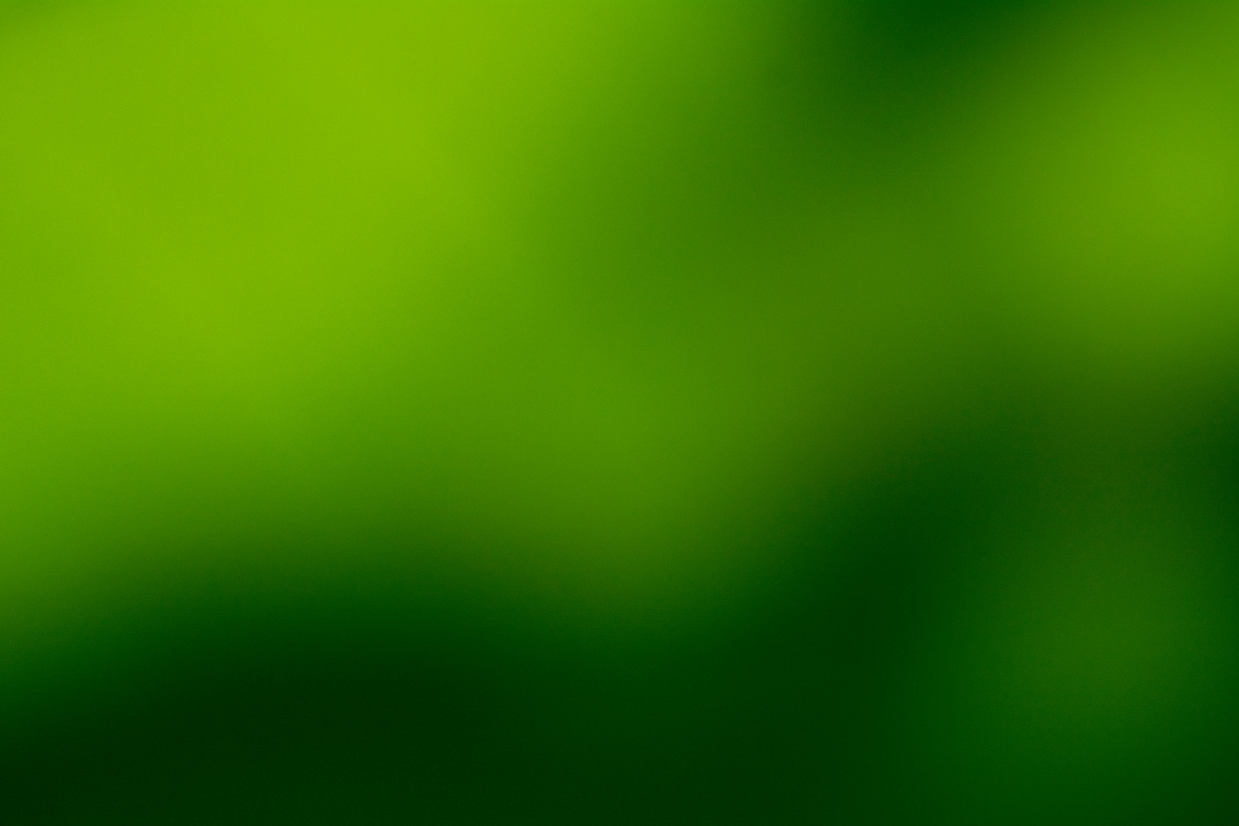 beautiful natural green gradient background