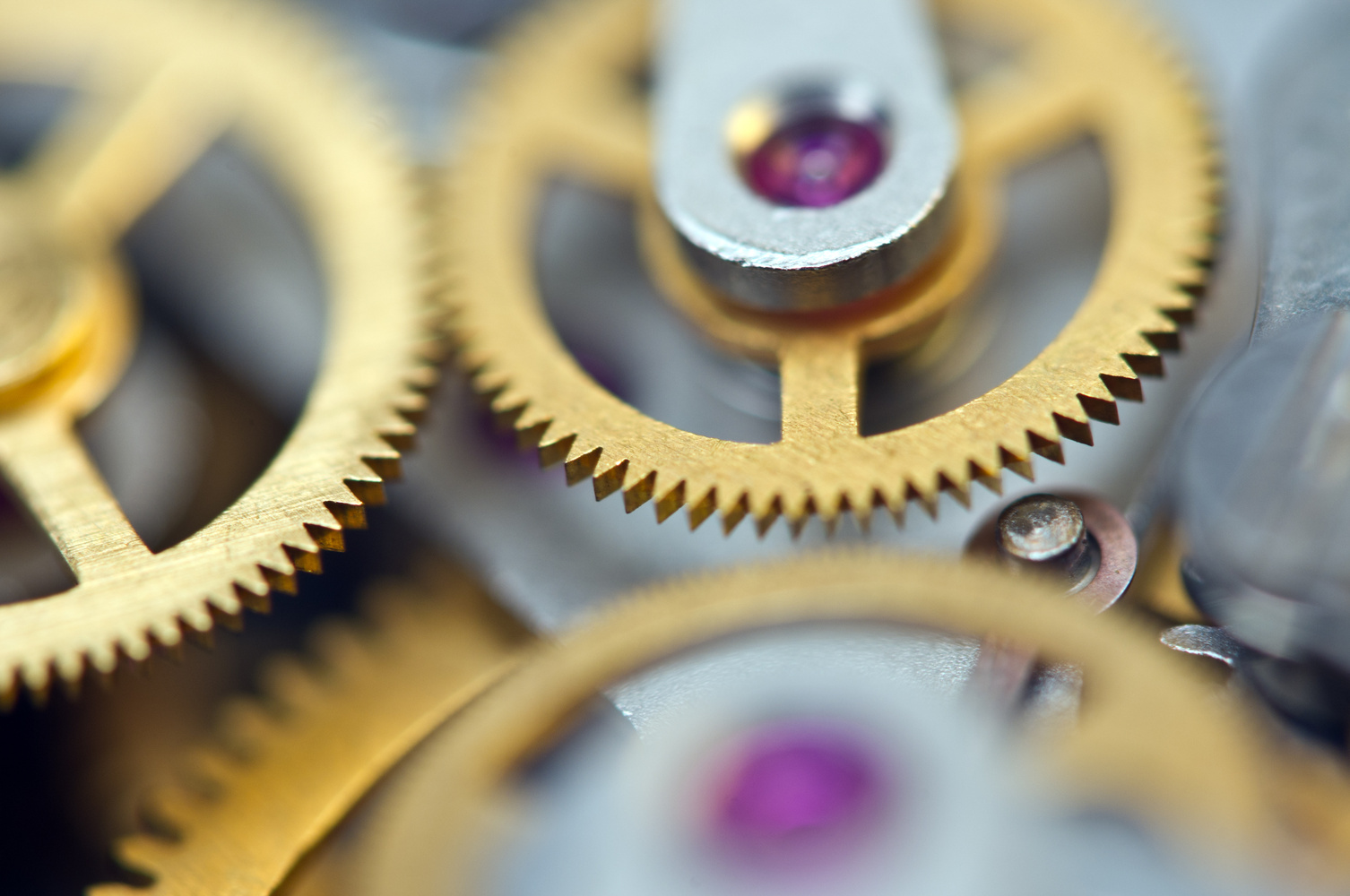 Cogwheel Gears Closeup 